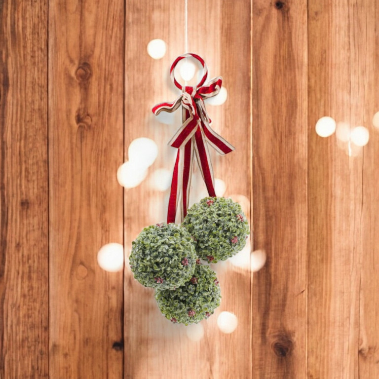 Doordecor Hangingmistletoesa