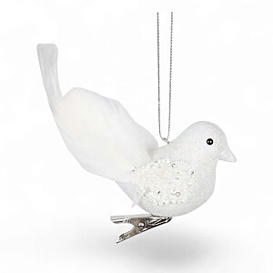 Bird Whi Dove