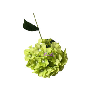 Flo Hydrangea Gre