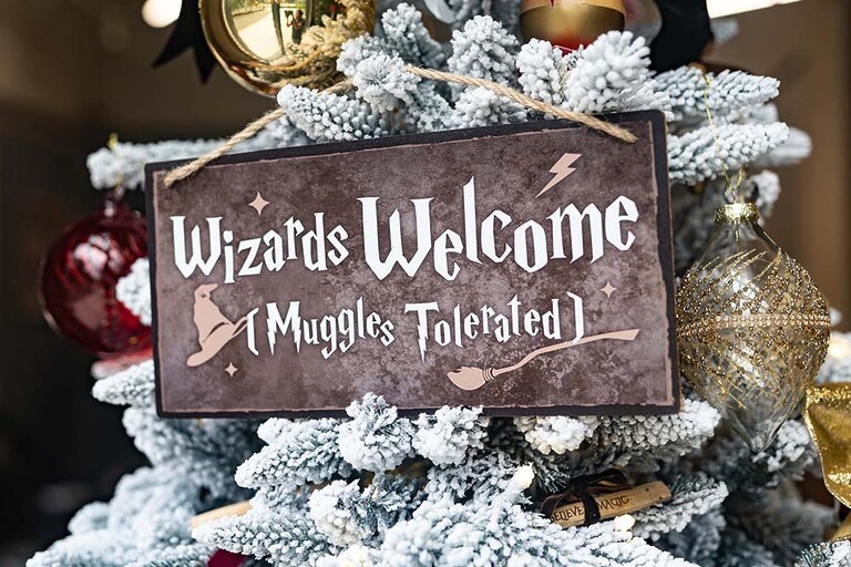 Harry Potter Christmas Decor Theme